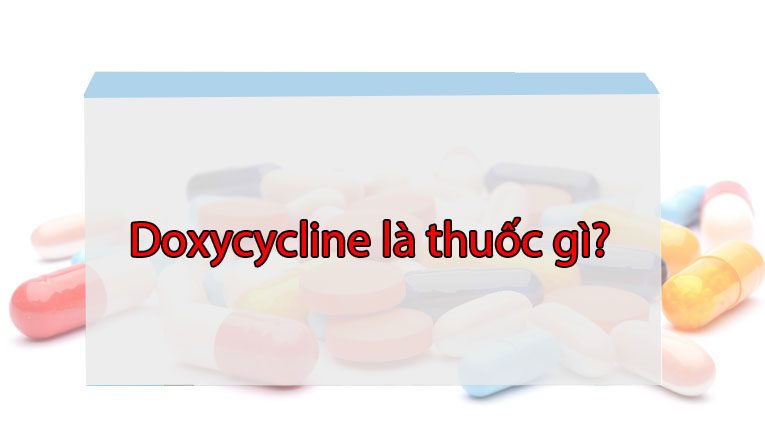 Doxycycline là thuốc gì?